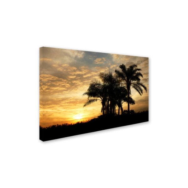 Mike Jones Photo 'Everglades Sunrise' Canvas Art,30x47